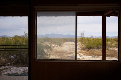 A view of the desert from inside a house