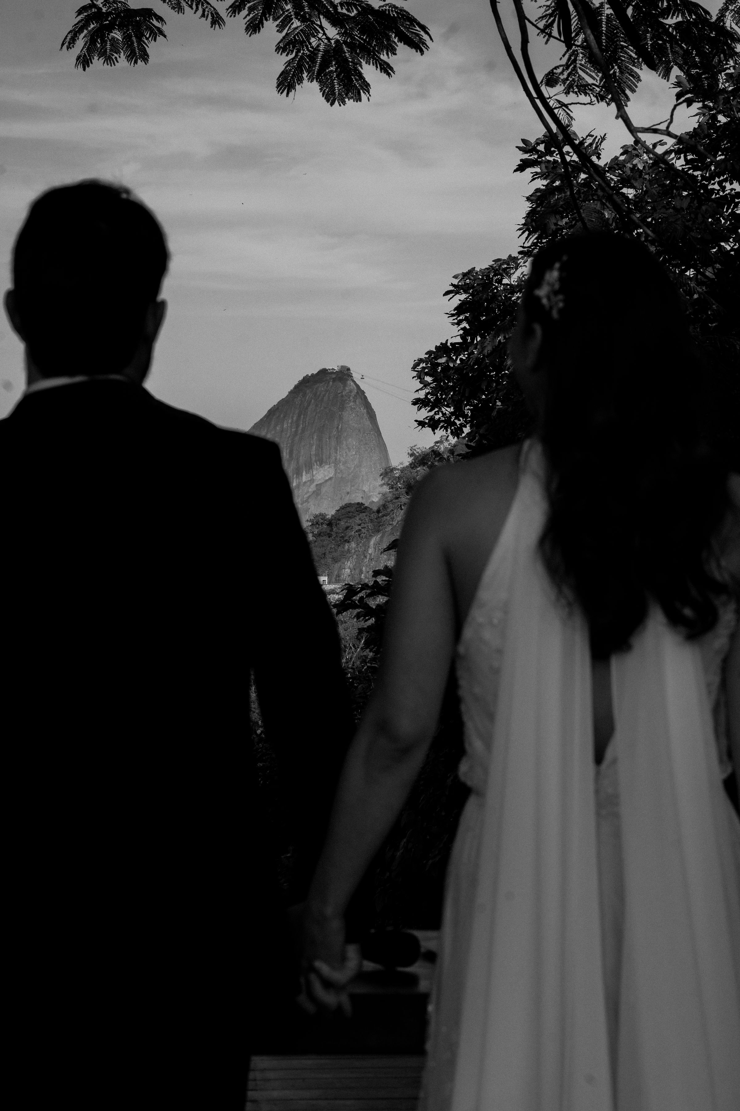 Back View of Newlyweds in Black and White · Free Stock Photo