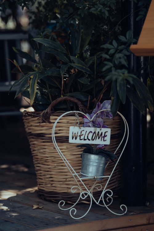 Free A cozy scene featuring a welcome sign with a potted plant, perfect for home decor inspiration. Stock Photo