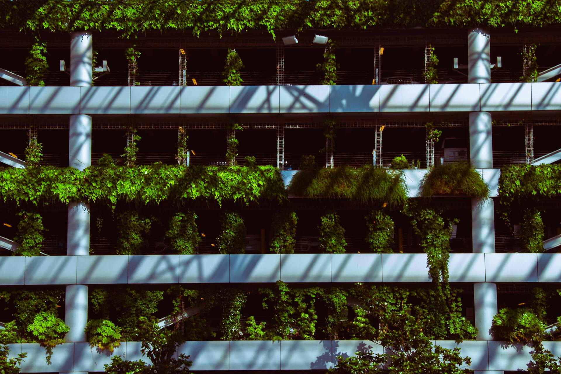 Green Plants Hanging Growing on Building Facade