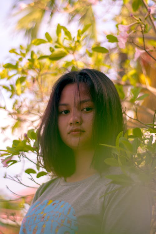 Woman Surrounded by Green-leafed Trees