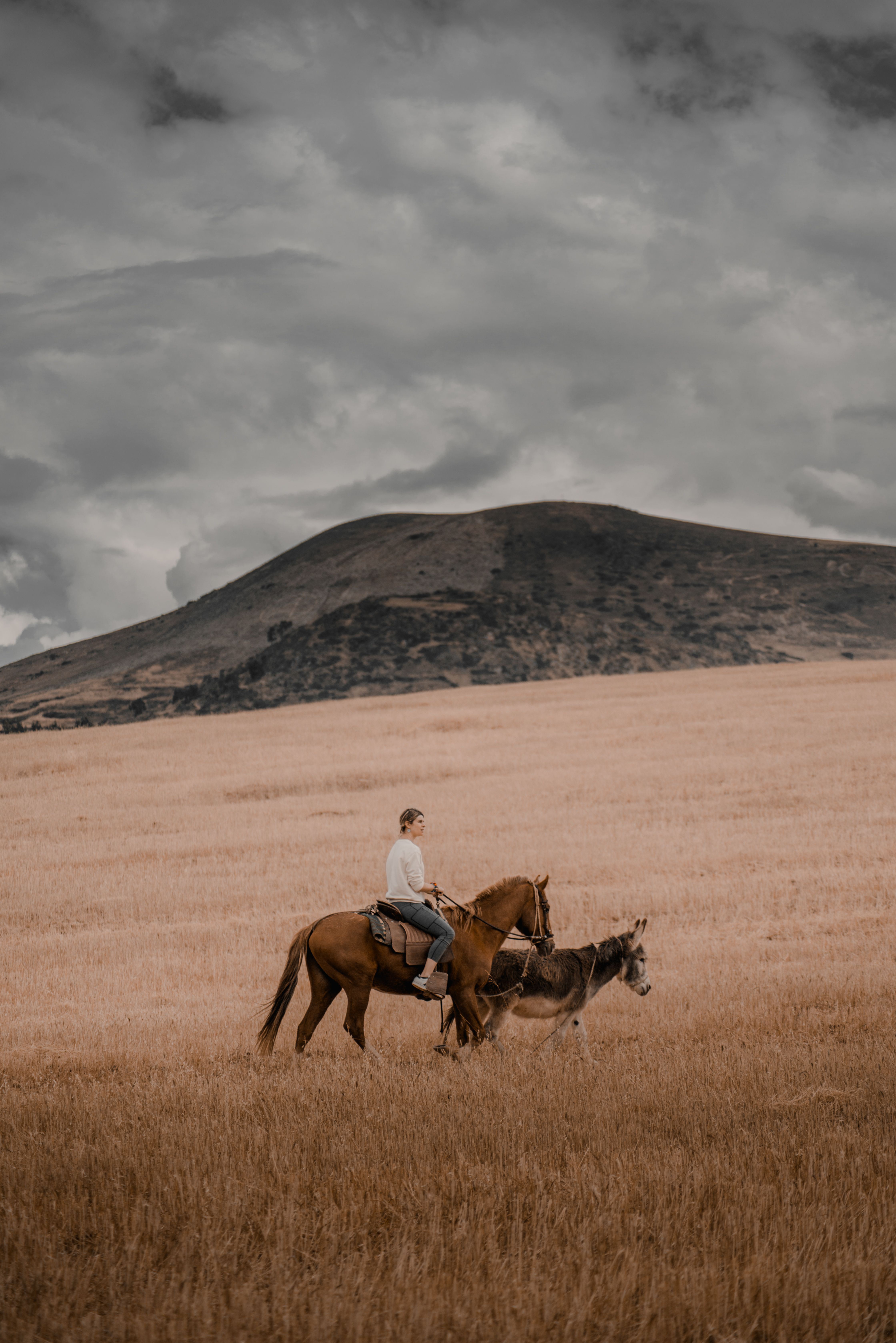 Why Choose Horse Trekking Over Other Activities?