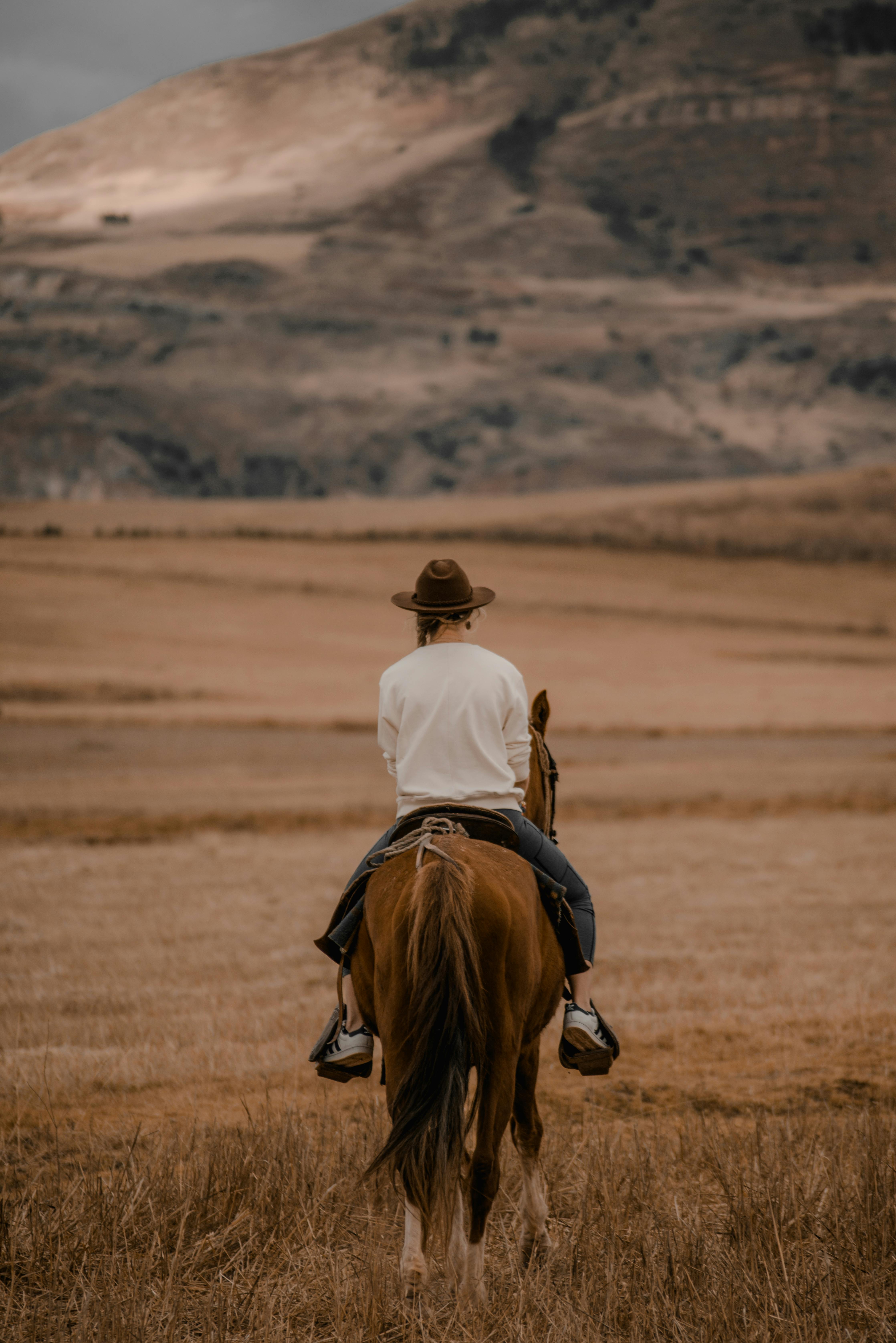 600.000+ melhores imagens de Mulher Cavalgando Um Cavalo · Download 100%  grátis · Fotos profissionais do Pexels