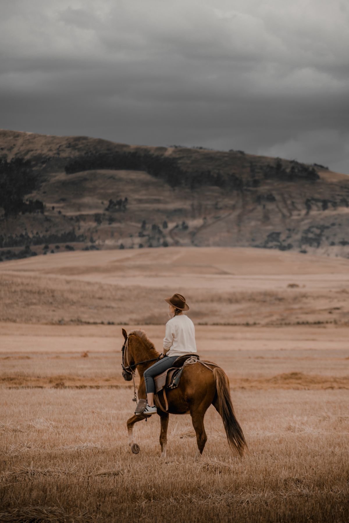 Woman Riding A Horse Photos, Download The BEST Free Woman Riding A ...
