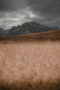 Moody mountain landscape in Peru with dramatic storm clouds and golden fields.