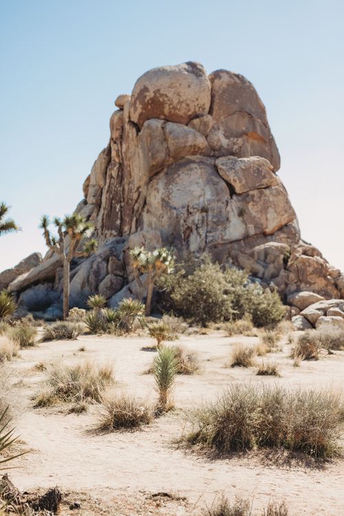 Free Dramatic rock formation with Joshua trees under a clear blue sky in California's desert landscape. Stock Photo