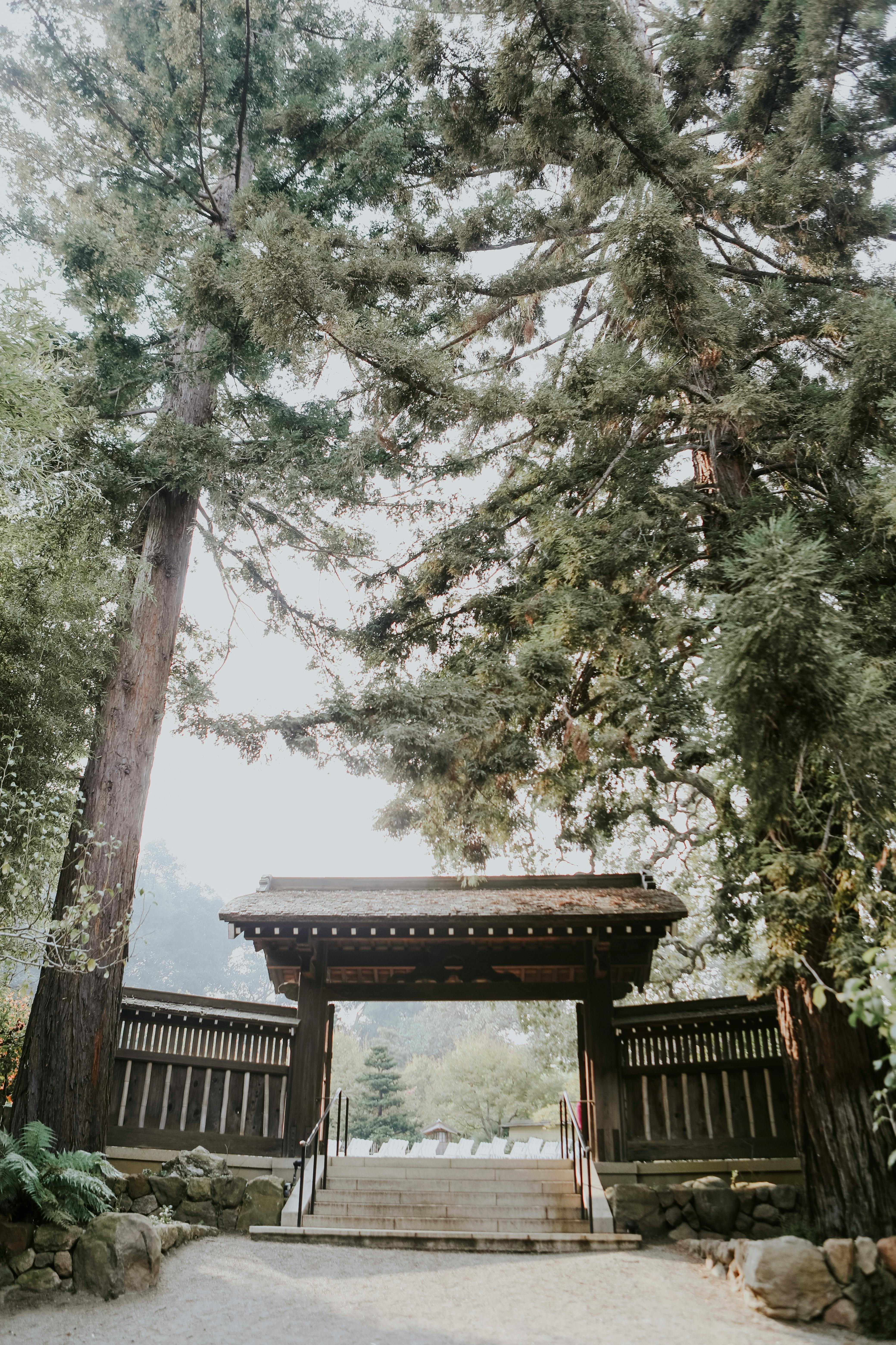 Serene entrance gate framed by majestic redwood trees in Saratoga, CA.
