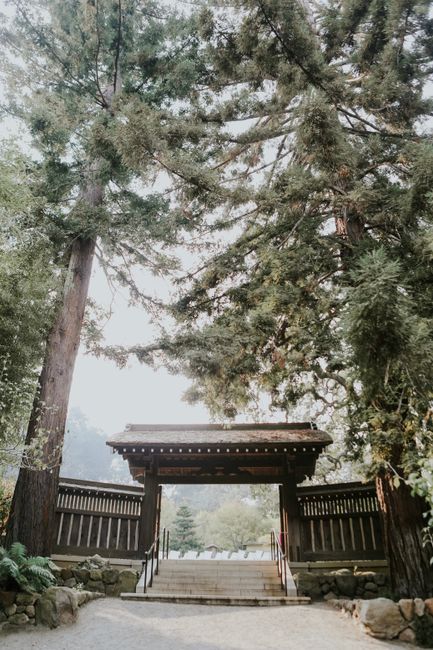 Serene entrance gate framed by majestic redwood trees in Saratoga, CA.