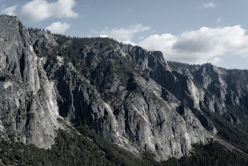 山岳, 急な, 森林の無料の写真素材