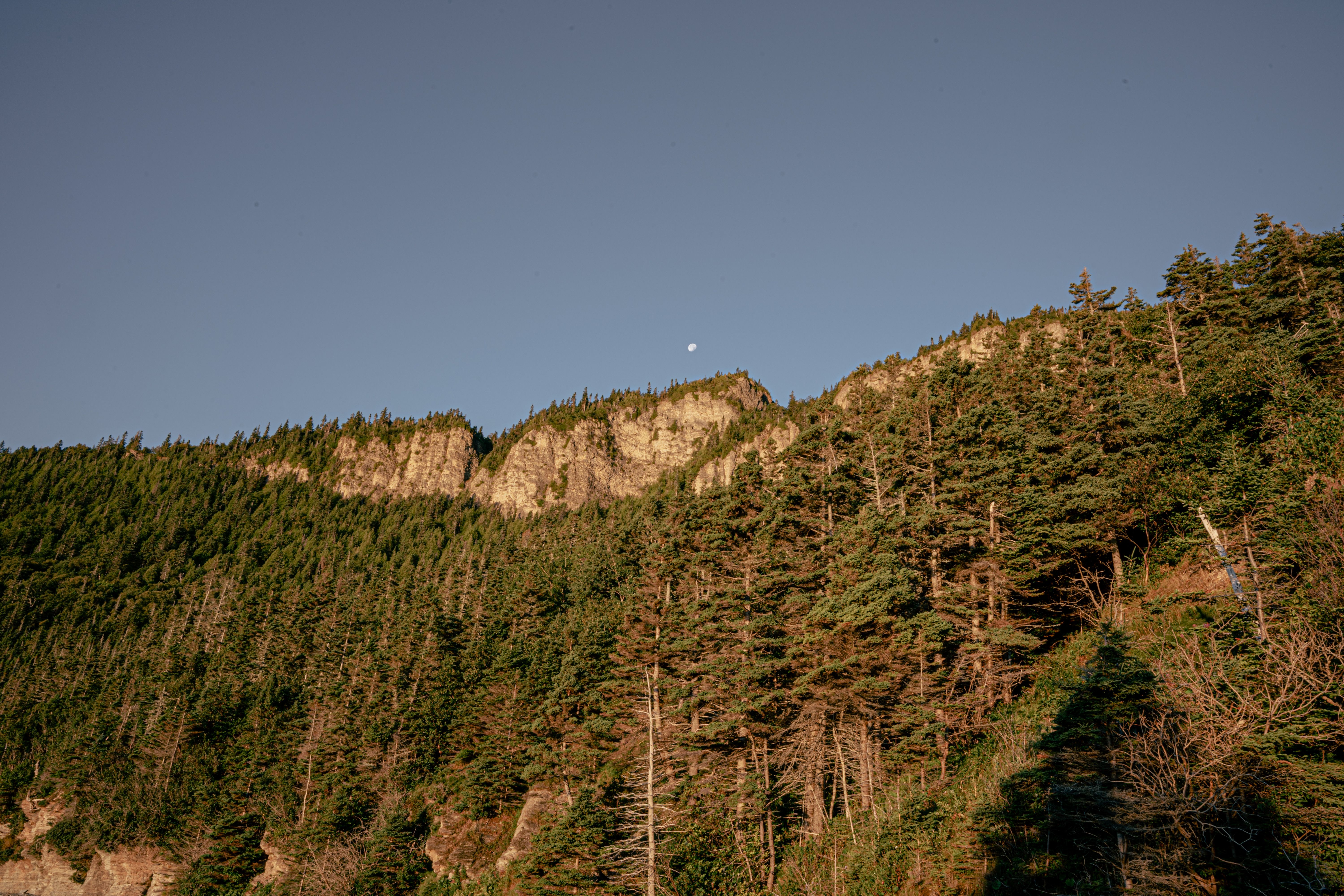 Gros Morne National Park