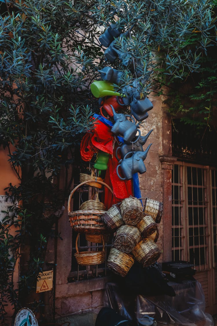 Colorful Watering Cans And Baskets Hanging From Olive Tree Branches