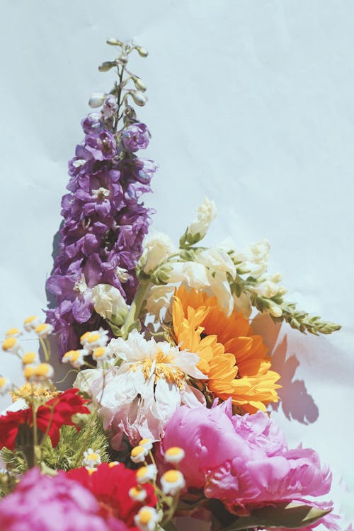 Fotobanka s bezplatnými fotkami na tému kvety, kytica, viacfarebny