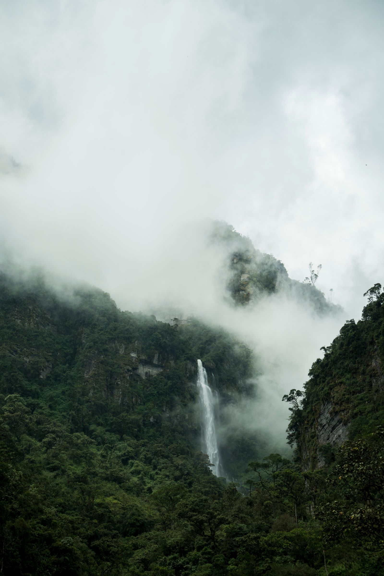 Cascada delgada que cae por una ladera cubierta de bosque verde, entre nubes bajas