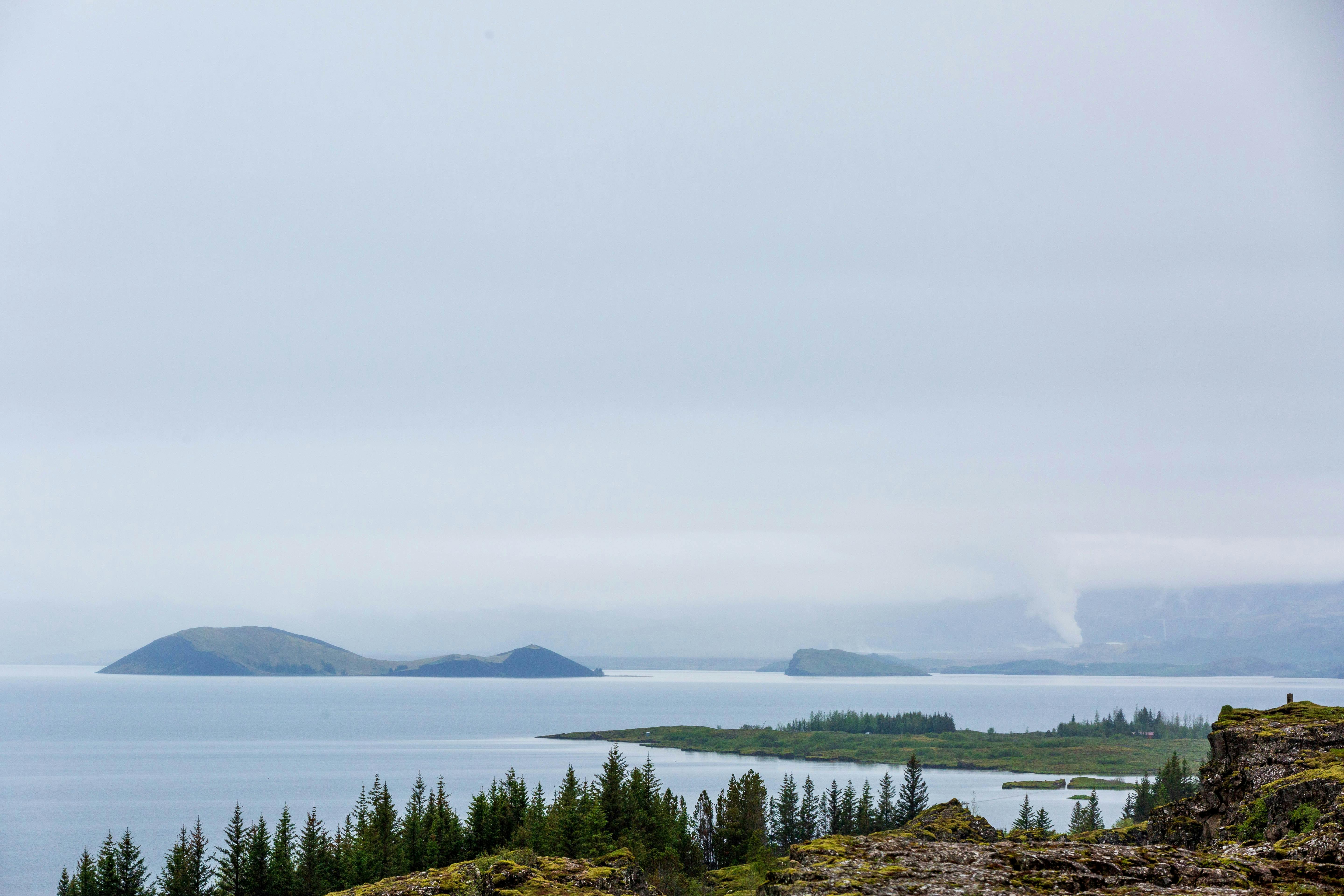 Pokémon Pokopia: Best Cloud Islands &amp; Developer Island Codes — Photo by Fahad AlAni on Pexels
