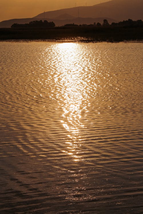물, 물결 모양, 반짝반짝 빛나는의 무료 스톡 사진