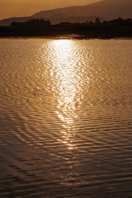A beautiful sunset reflected on serene water creating a golden glow with ripples.