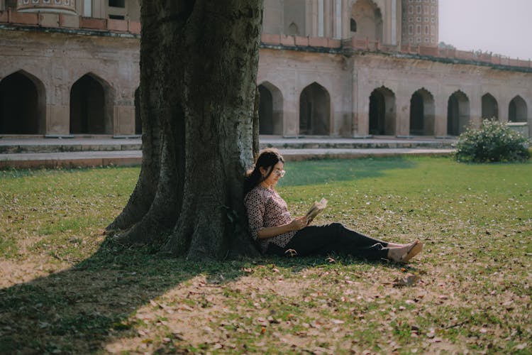 Woman Reading Book Under Tree