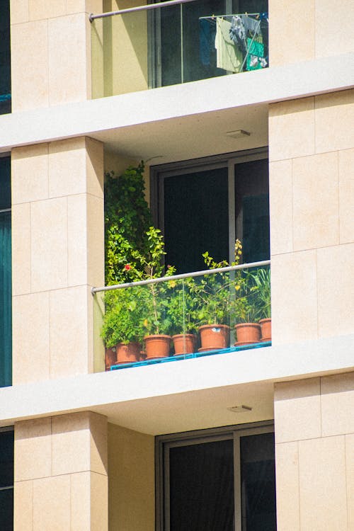 Potted Plants on Balcony