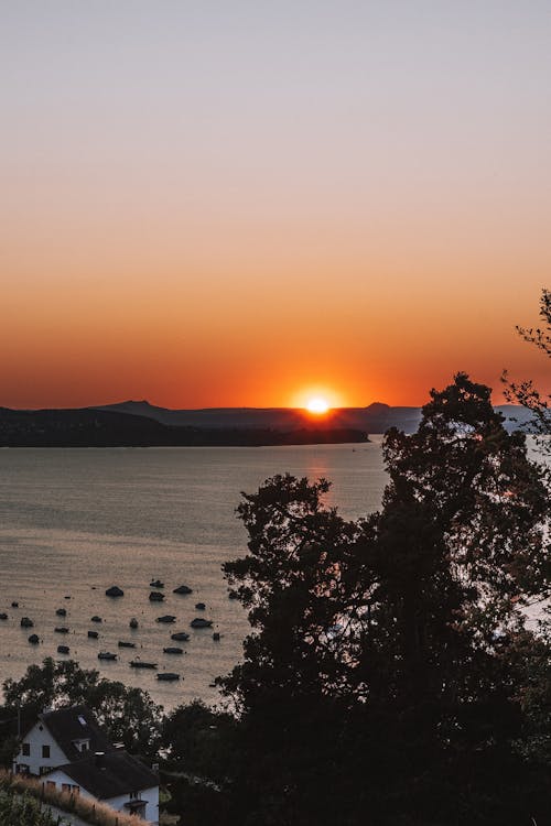 Photos gratuites de arbre, collines, coucher de soleil