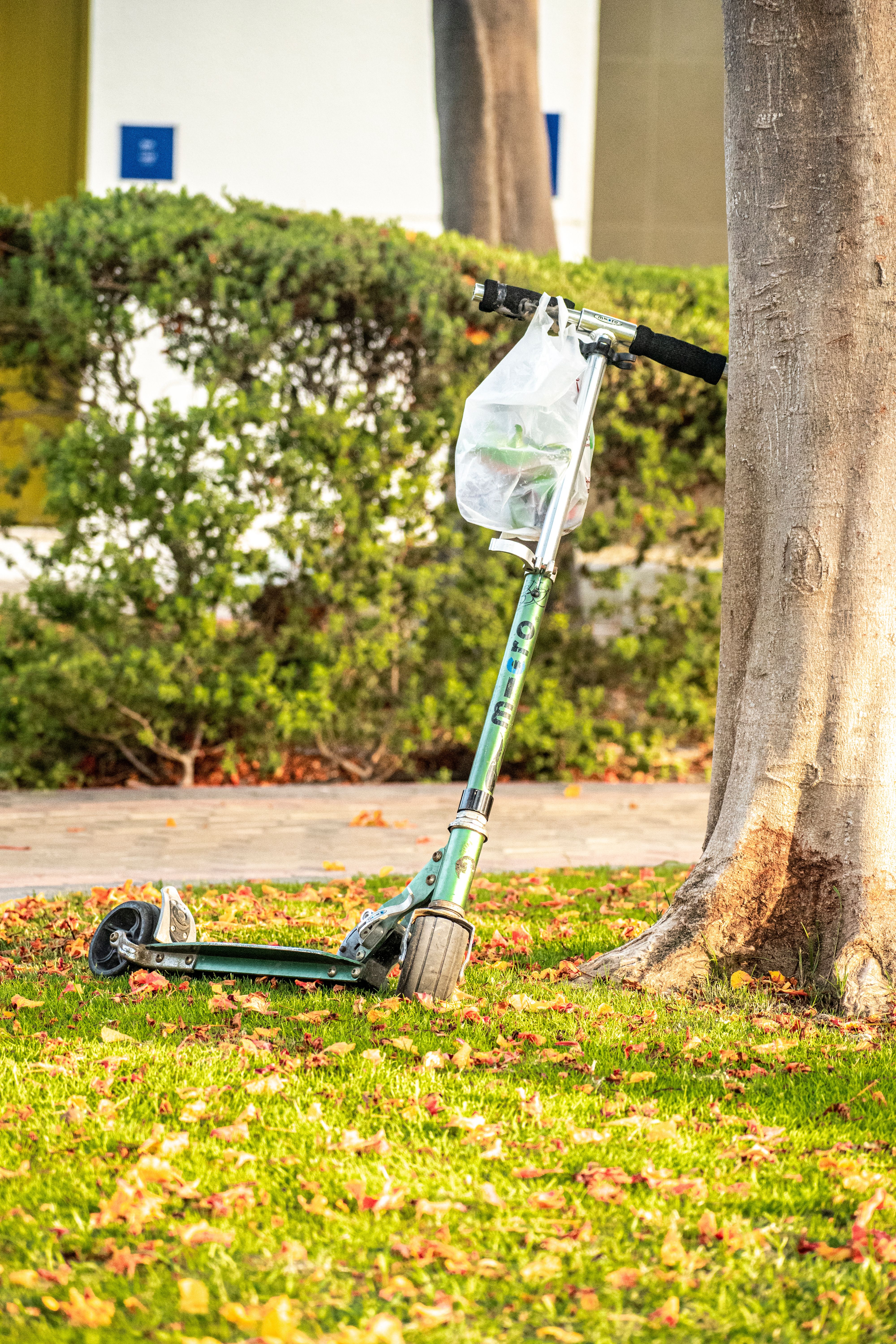 Scooter with Bag near Tree · Free Stock Photo