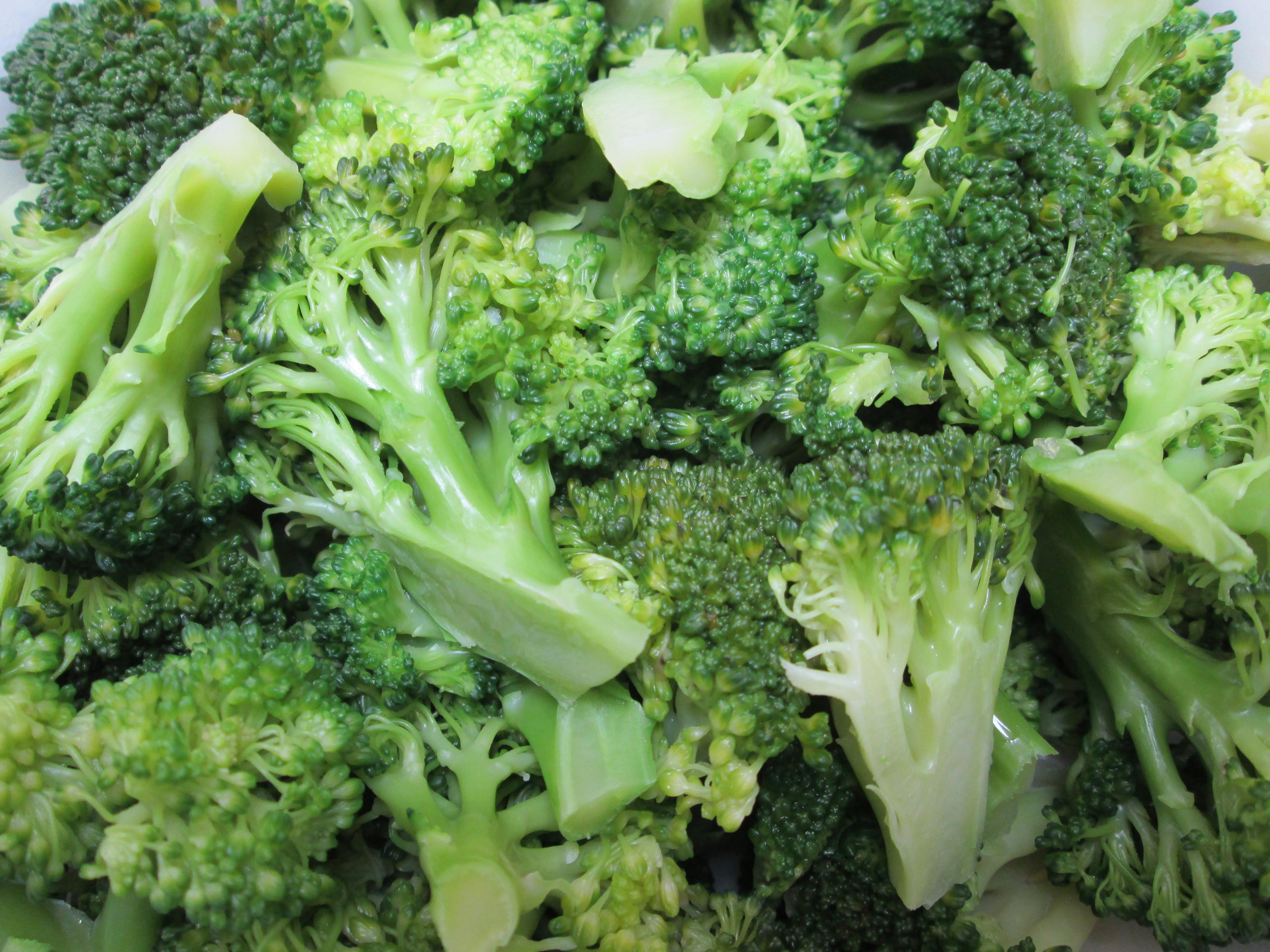 Free stock photo of broccoli, brocoli, food