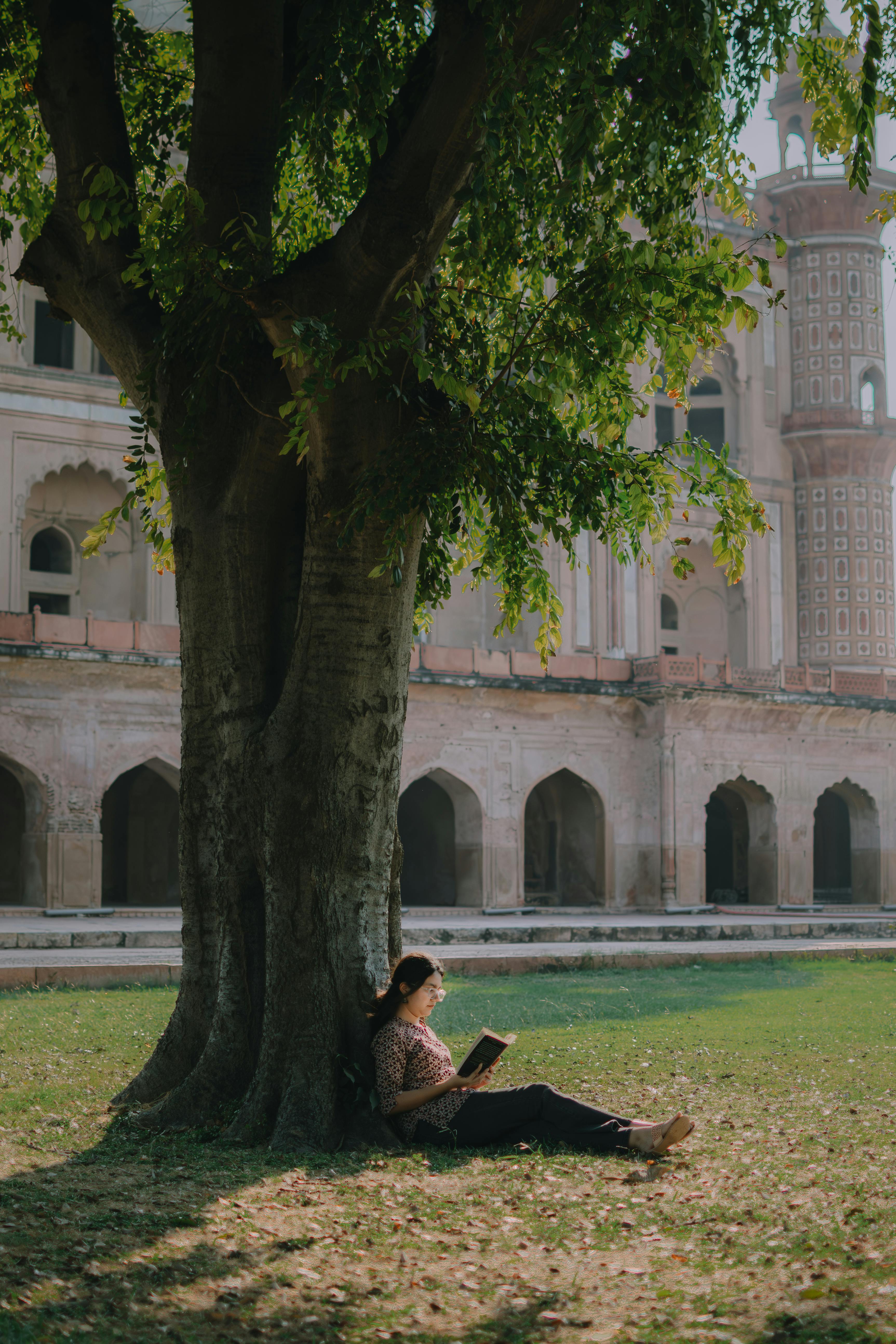 Woman with Book in Forest · Free Stock Photo