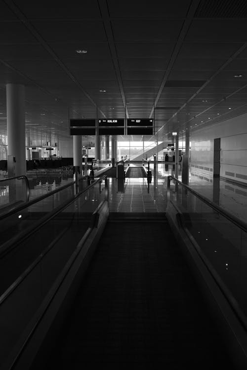 Foto d'estoc gratuïta de aeroport, autowalk, blanc i negre