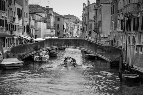 Free stock photo of black and white, bridge, browsing