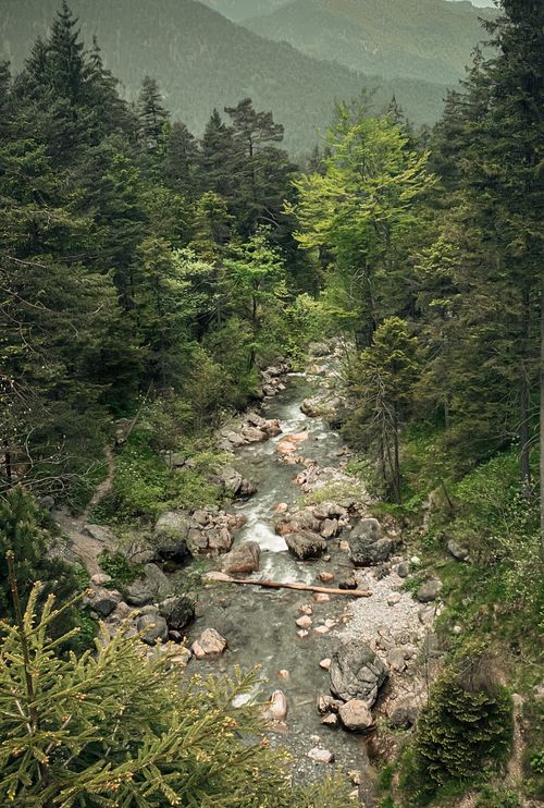 Free A tranquil aerial view of a forest stream surrounded by lush trees in spring. Stock Photo