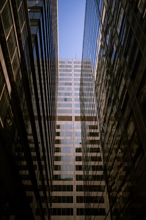 Foto d'estoc gratuïta de arquitectura moderna, cel blau, edificis de vidre