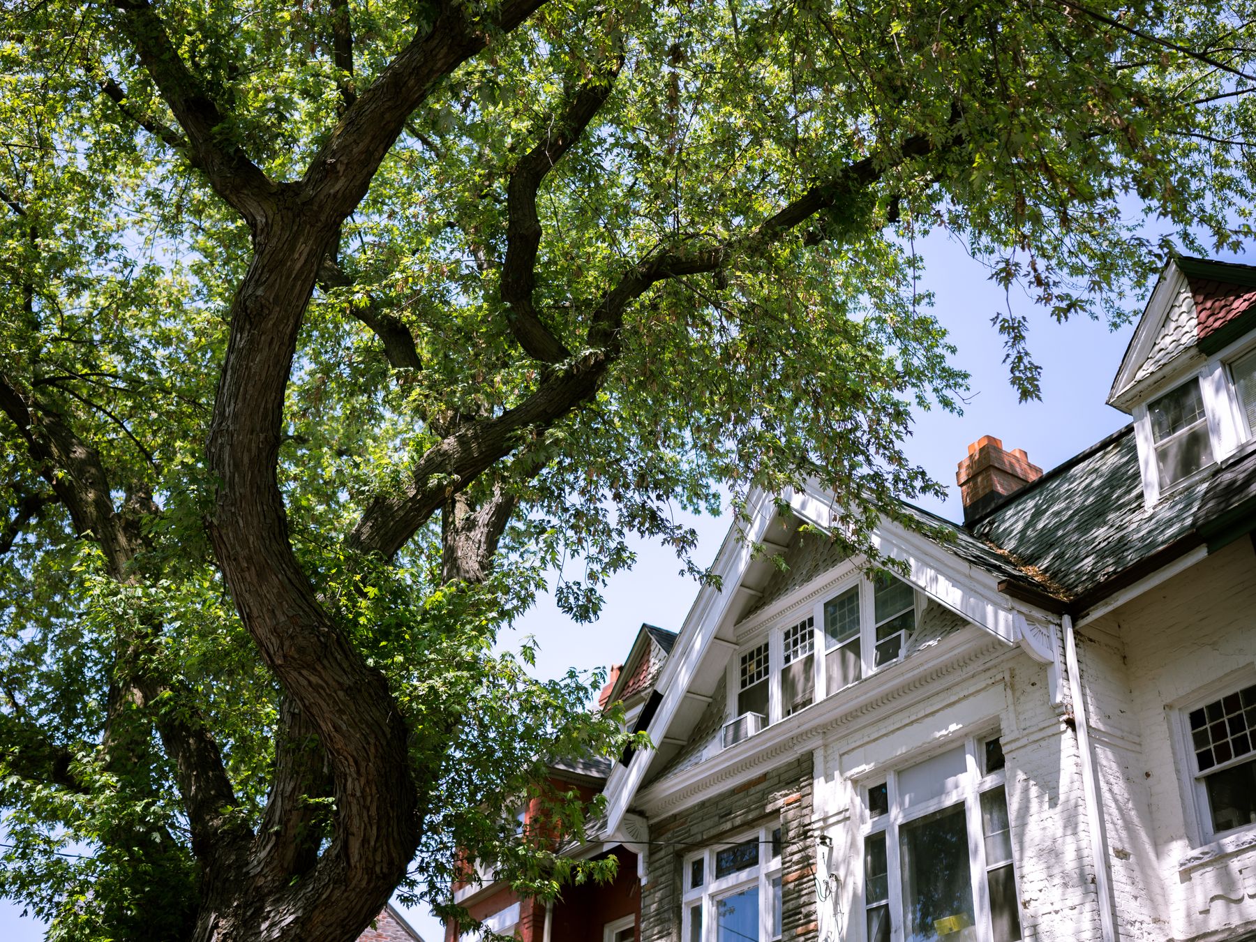 Islip — professional movers carrying furniture on a house move