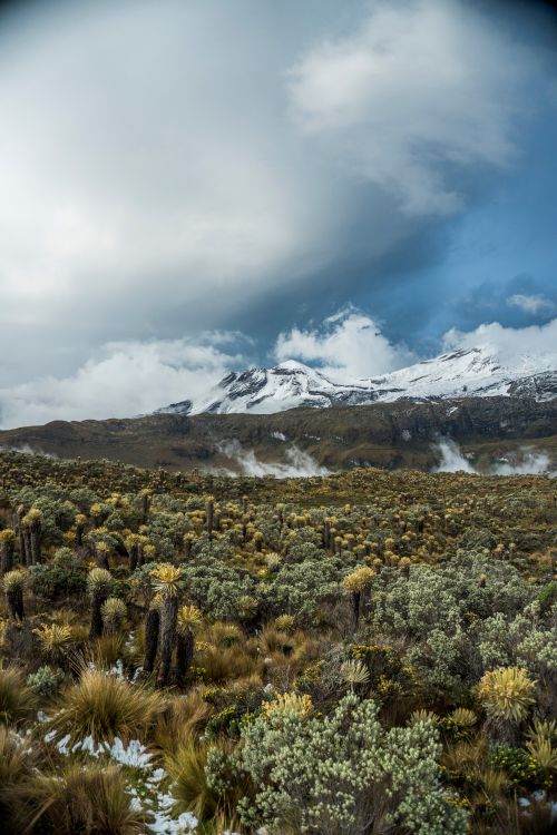 Free Dramatic view of snow-capped mountains with lush green foreground. Stock Photo