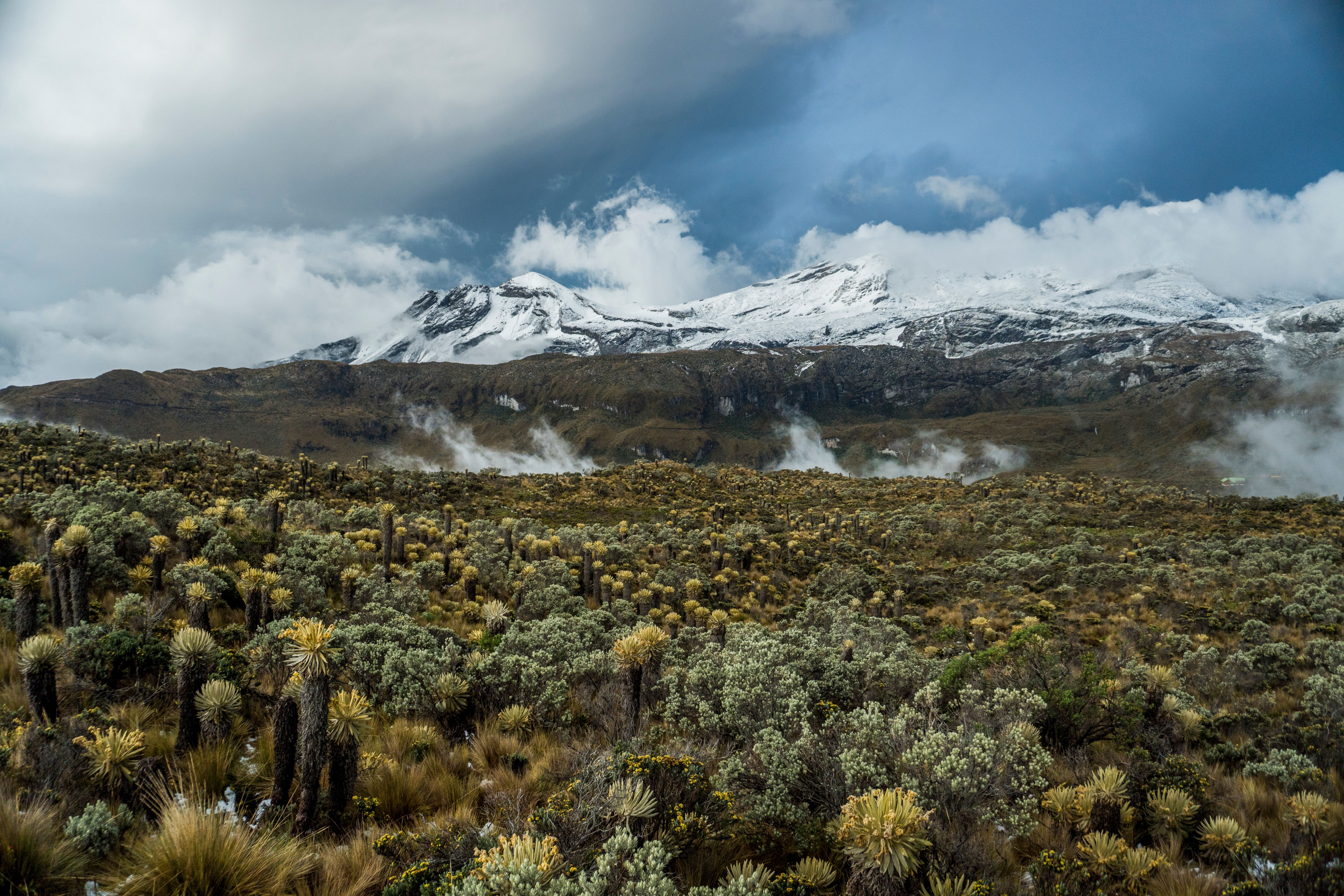 7 Day Luxury Wellness Tour in Ecuador Mainland 3