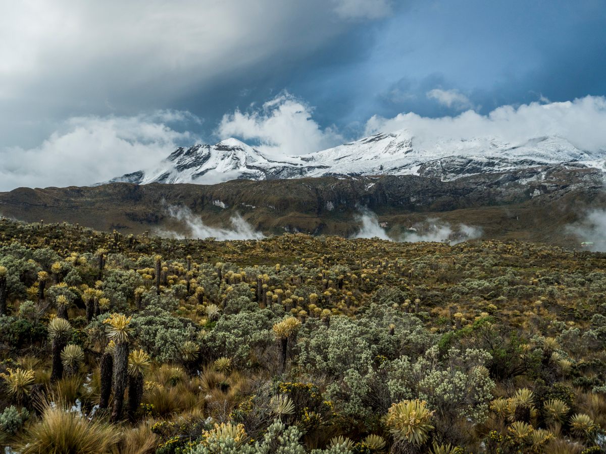 7 Day Luxury Wellness Tour in Ecuador Mainland 3