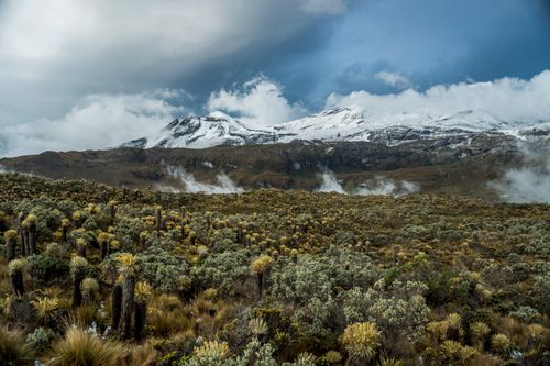 Free Breathtaking snowy mountain scene with lush vegetation and dramatic skies. Stock Photo