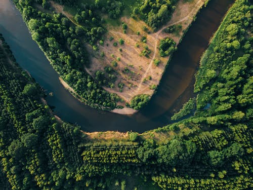 Top View of a River and Green Forest 