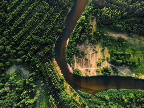 Top View of a River and Green Forest 
