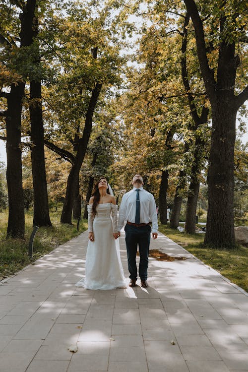 Bride and Groom Standing in an Autumn Park Alley Looking Up