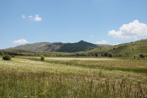 Landscape of a Grass Field and Hills under Blue Sky