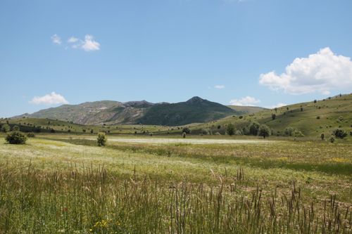 Free Explore this serene summer landscape featuring rolling hills, a lush field, and a clear blue sky. Stock Photo