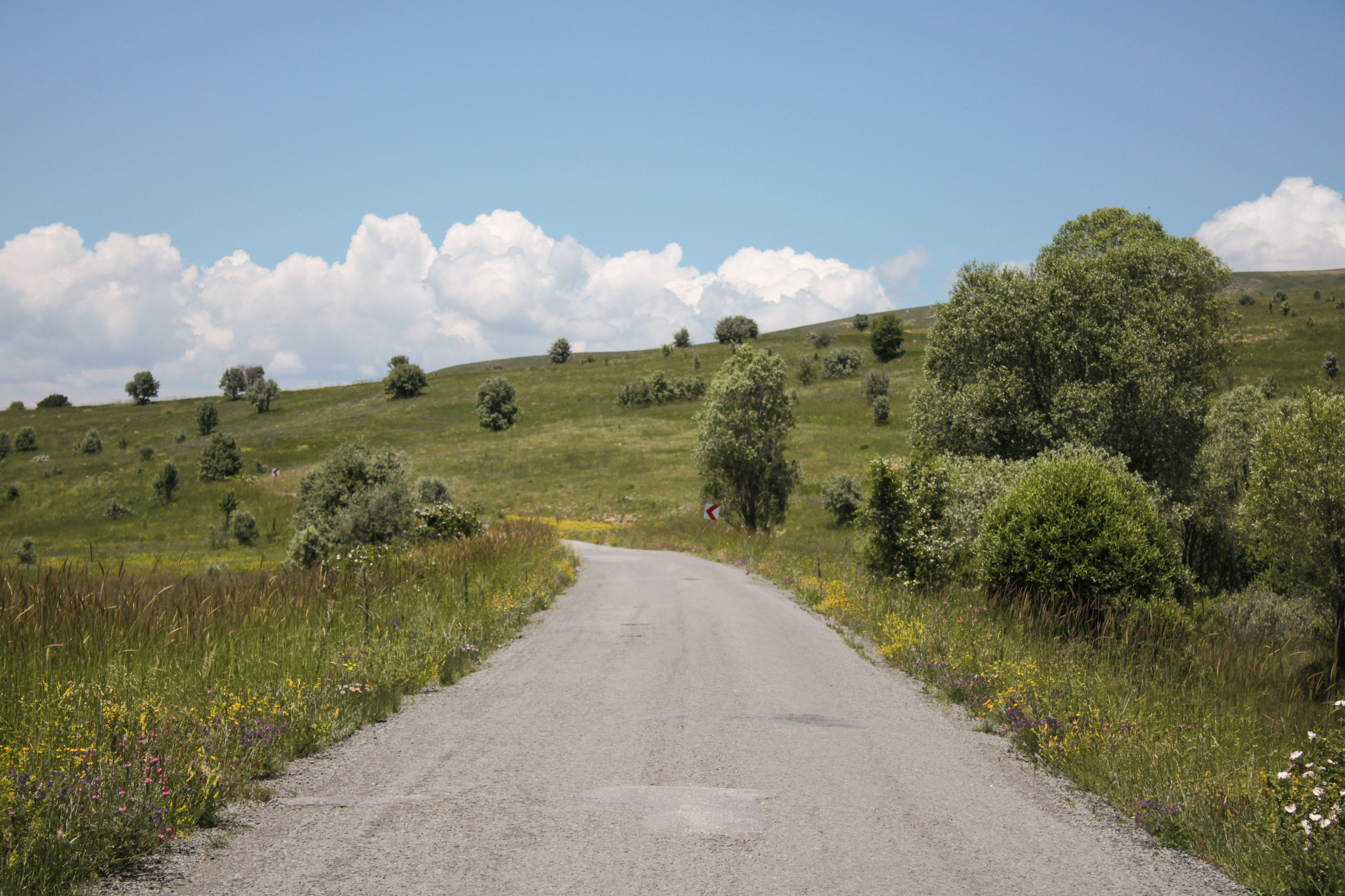 Road in Countryside · Free Stock Photo