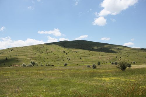 Free A picturesque sunlit hillside with lush greenery under a clear blue sky, ideal for nature themes. Stock Photo