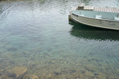 Free stock photo of boat