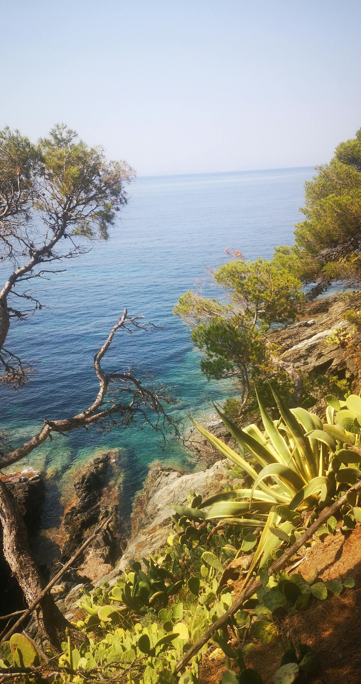 Tecnologia de Monitoramento GPS