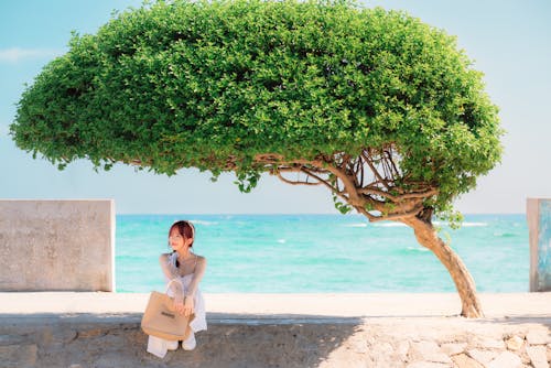 Young Woman Sitting under a Tree on the Shore 