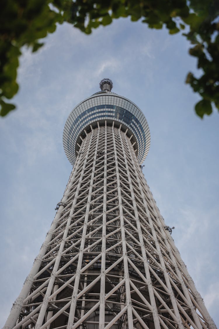 Wall Of Tokyo Skytree