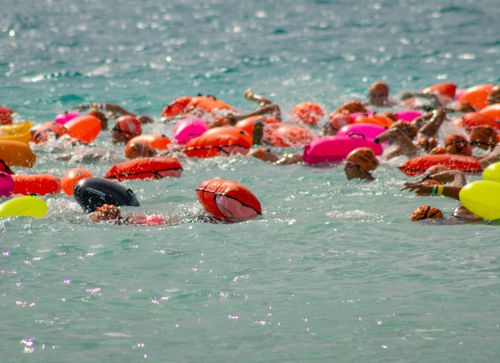 Free A dynamic group of swimmers with colorful lifebuoys in Bacalar Lagoon, Mexico, engaged in a summer swimming race. Stock Photo