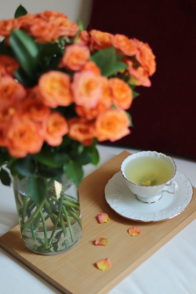 Tea Roses Photos, Download The BEST Free Tea Roses Stock Photos & HD Images