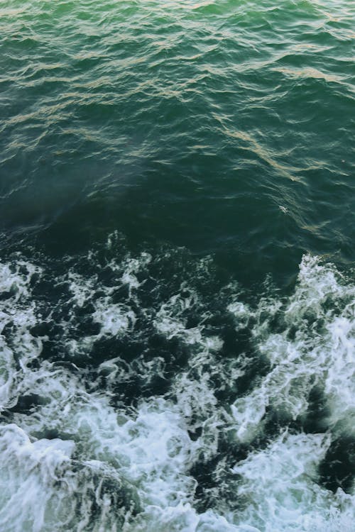 Foto profissional grátis de água, em forma de onda, espuma