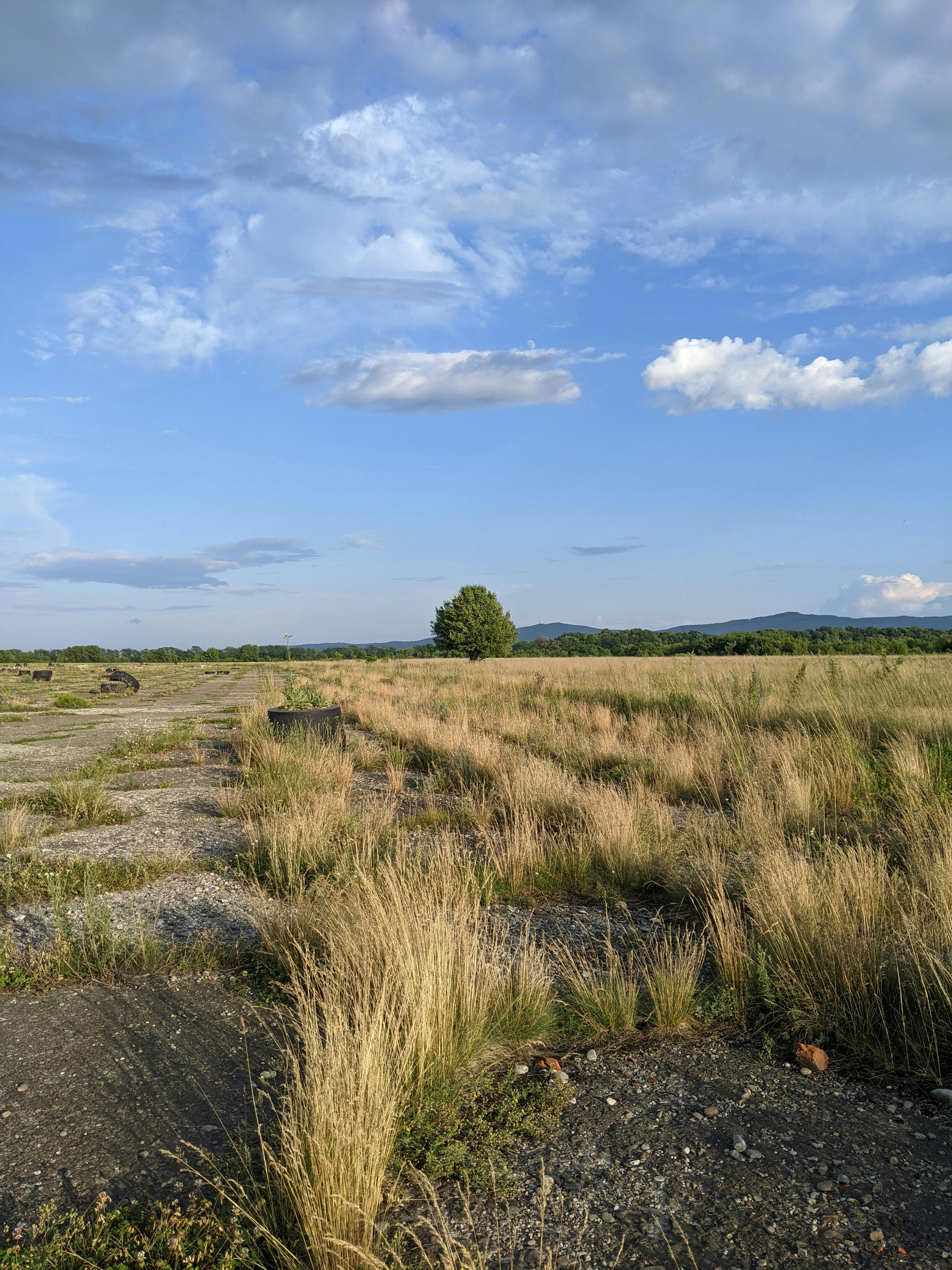 Grassland in Countryside · Free Stock Photo